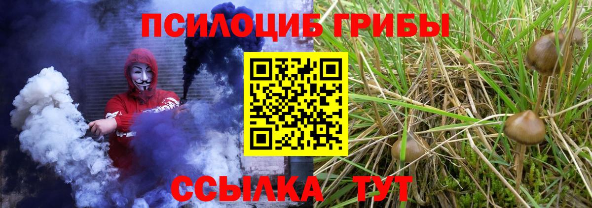 Чусовой  Псилоцибиновые грибы MAGIC MUSHROOMS  Вход с VPN 